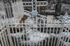 Снегирёва Юлия Ильинична