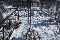 Безымянная