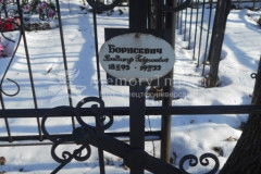 Борисевич Владимир Гаврилович