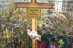 Шемонаева  Анна  Дмитриевна