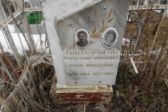 Рождественская Елена Моисеевна