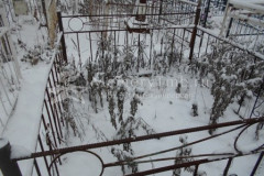Безымянное