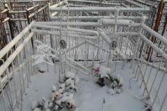 Безымянное