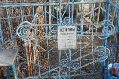 Нестерова Ксения Павловна