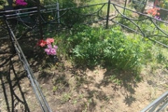 (2639) Безымянная