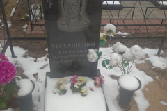 Малашенко Александр Владимирович