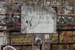 Аршава Александра Францева