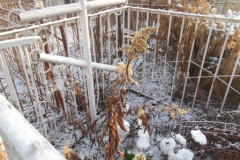 Безымянное
