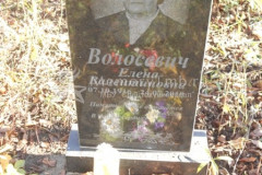 Волосевич  Елена  Валентиновна
