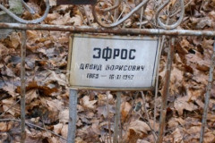 Эфрос Давид Борисович
