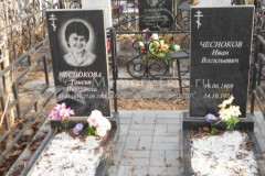 Чесноков Иван Васильевич