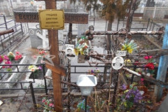 Гриднев Дмитрий Иванович