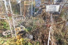Никитин Аркадий Назарович