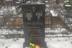 Киушкин Дмитрий Владимирович