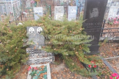 Денисова Александра Владимировна