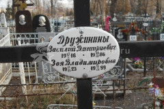 Дружинина Зоя Владимировна