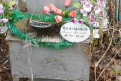 Насильников Михаил Васильевич