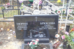 Брюсова Елена Васильевна