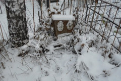 Соколины