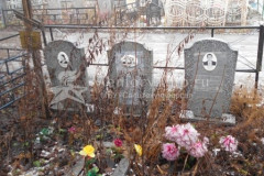 Данилин Александр Анатольевич