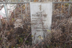 Розан-Блит Полина Васильевна