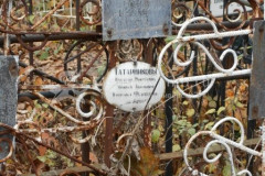 Татарникова Василиса Федосеевна