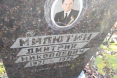 Милютин  Дмитрий  Николаевич