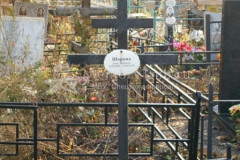 Шорина Анна Петровна