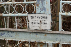 Филимоновы