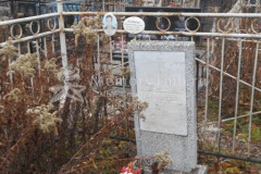 Корнеевы