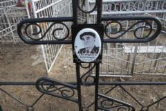 Петров Николай Григорьевич