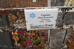 Гуревич Марк Яковлевич