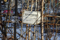 Никифорова