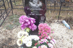 Родионова Анна Юрьевна