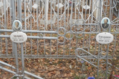 Емельянова Анна Васильевна