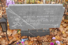 Рябикина Анна