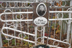 Раев Николай Михайлович