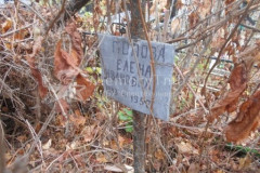 Попова Елена Ивановна