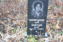 Шарафутдинова Адия Шамсутдин кызы