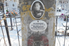 Будников Василий Иванович