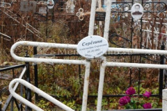 Серёгина Александра Сергеевна