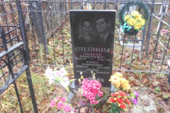 Степины