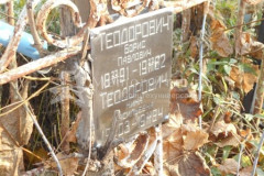 Теодорович Нина Васильевна