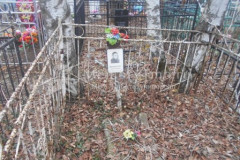 Кондратьева Елена Петровна