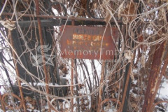 Песков (Безымянная)