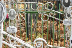 Румянцев Владимир Павлович