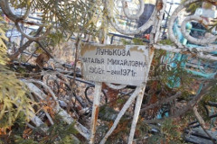 Лунькова Наталья Михайловна