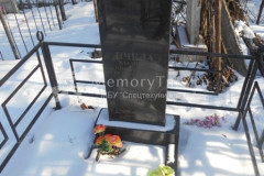 Пчела Николай Казимирович