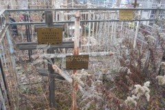 Мурачева Анна Виденеевна
