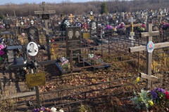 Алексеев Николай Анатольевич